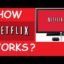 Why Does Netflix Have No Good Movies?