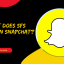 What Does SFS Mean On Snapchat?